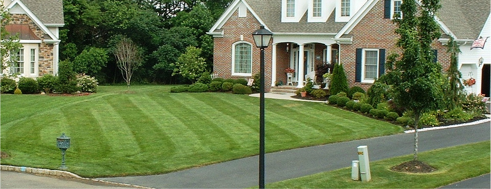 A Cut Above Landscaping Monroe New, Best Landscapers In New Jersey